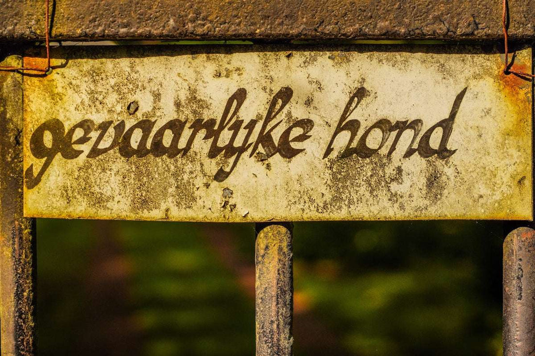'Hur du Skyddar Dina Gosedjur Mot Damm Och Skador'