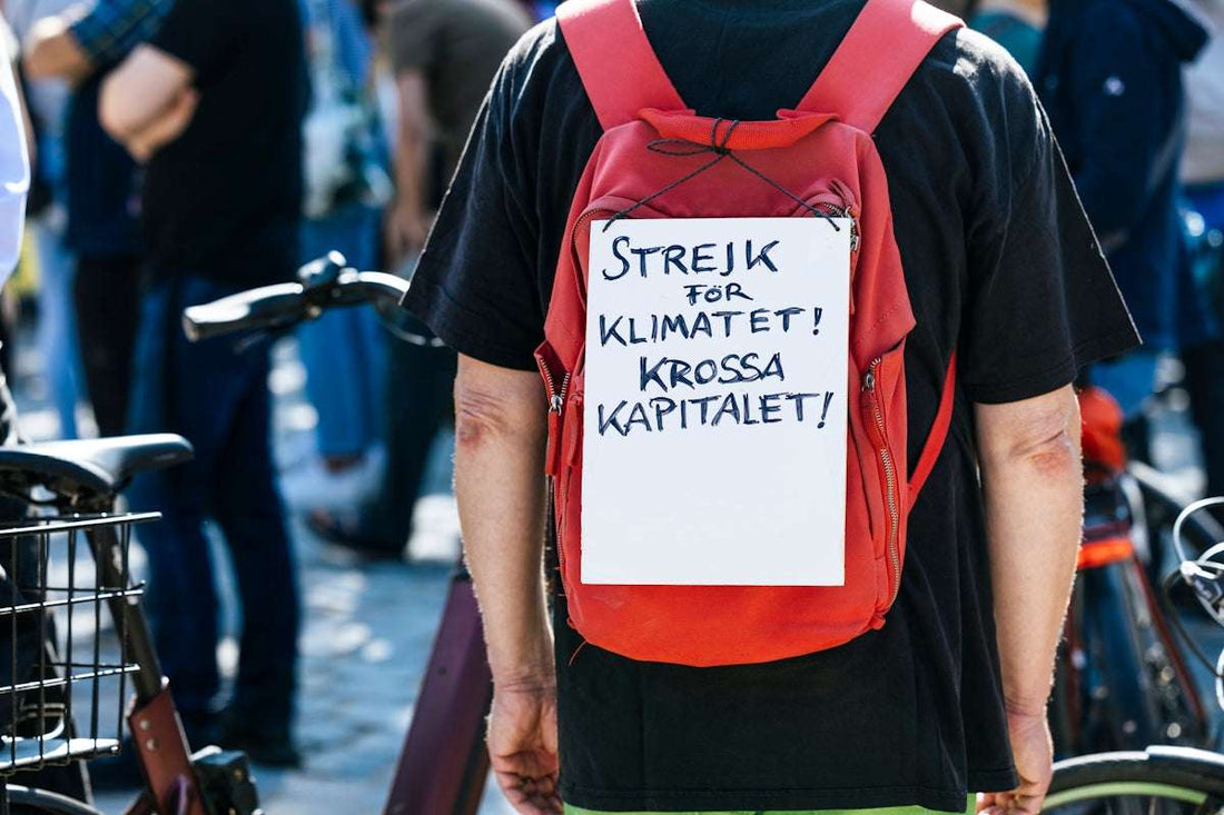 Skillnader mellan sweatshirts och hoodies: En praktisk genomgång