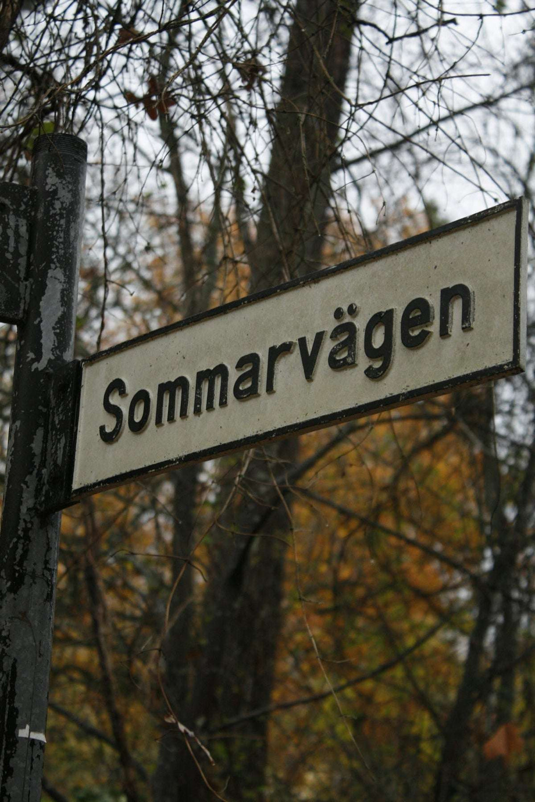 Gosedjur som kult: Så blev de en del av vår vardag