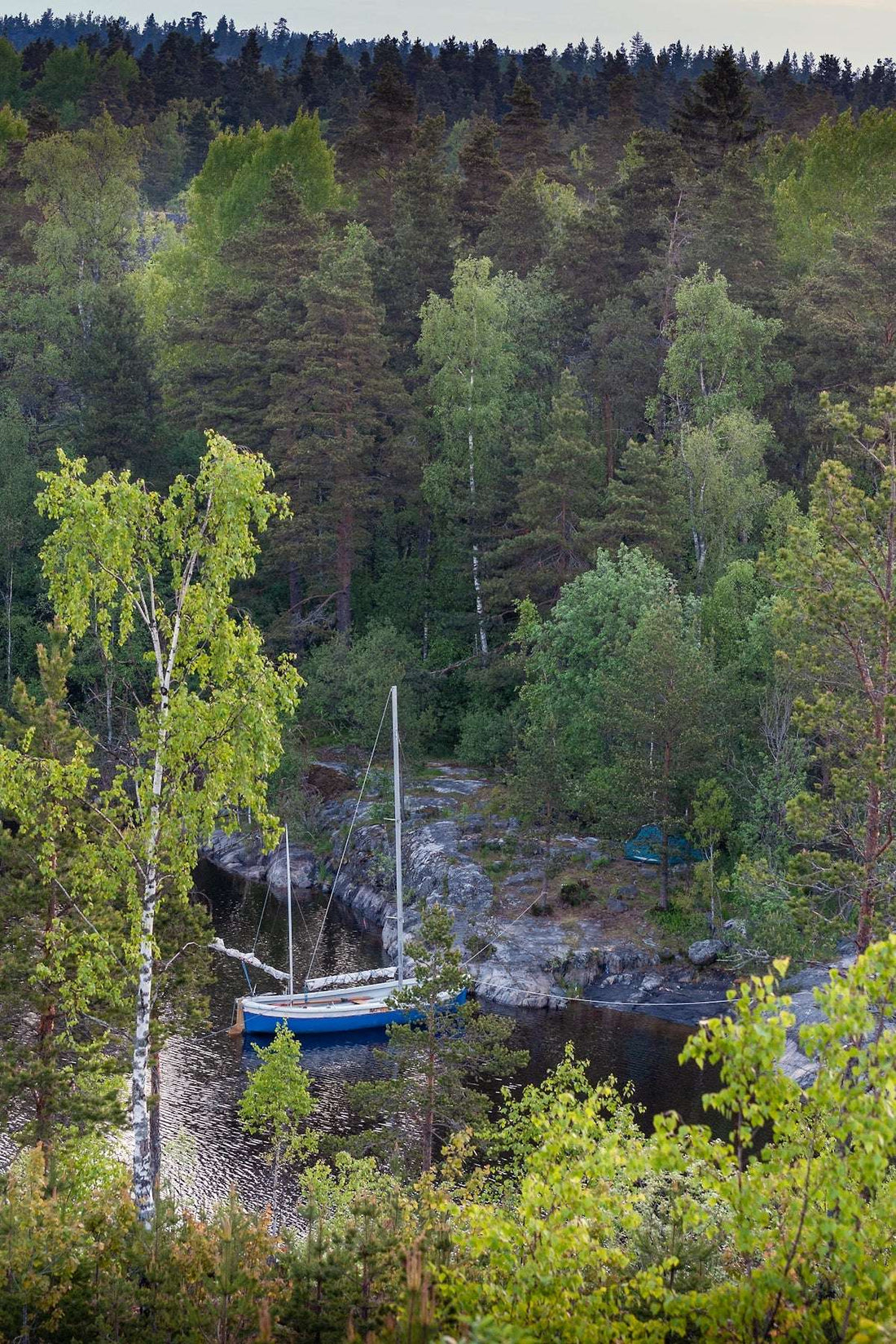 Allt om dockor: Dina vanligaste frågor besvarade