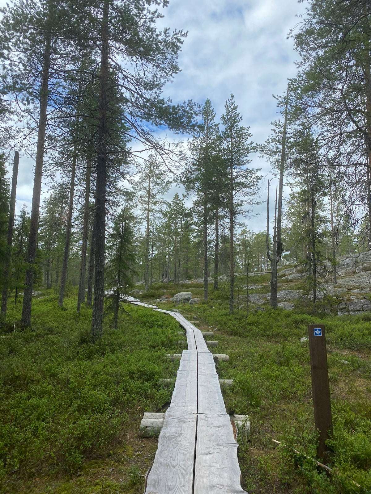 Väsentliga steg i skapandet av en fantastisk nördprylsmiljö