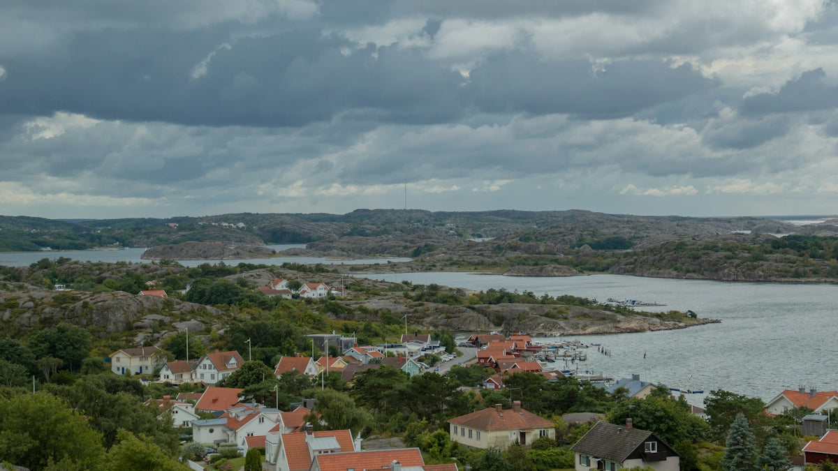aerial view of city near body of water during daytime