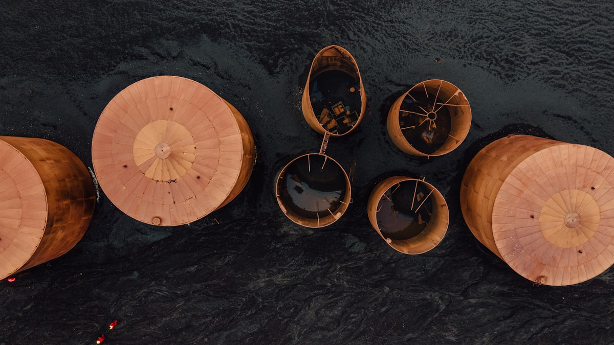 a group of umbrellas floating on top of a body of water