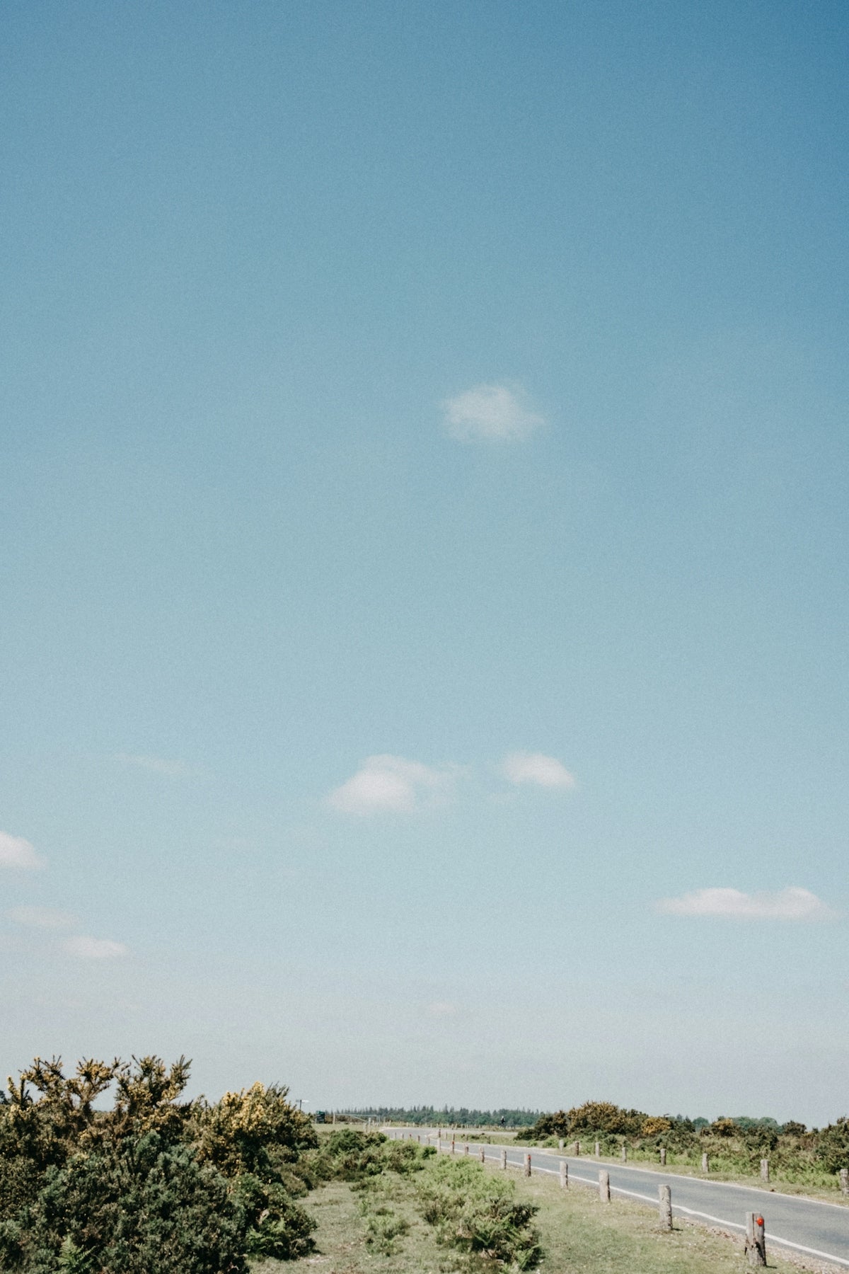 a person standing on the side of a road flying a kite