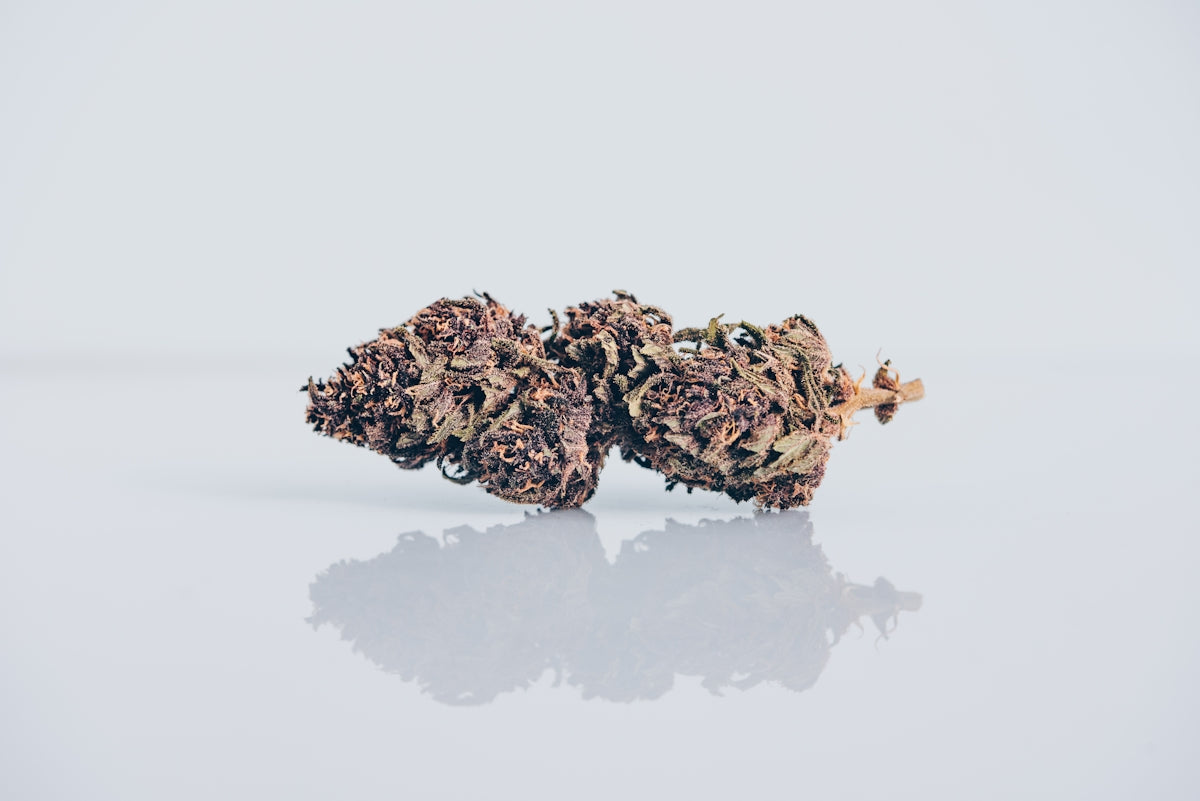 A close-up of marijuana buds.