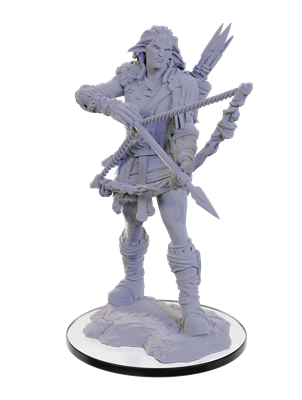 Pathfinder Deep Cuts Miniatures: Wood Giant WizKids/NECA