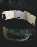 Dark Souls RPG: GM Screen - EN Steamforged Games