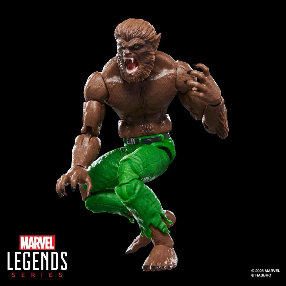 Marvel Legends Series Varulv På Natt