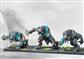 Conquest - Nords: Varulvar - EN Para Bellum Games