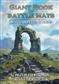 The Giant Book of Battle Mats: Wilds, Wrecks & Ruins - EN Loke BattleMats