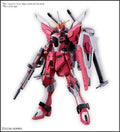 HG 1/144 INFINITE JUSTICE GUNDAM TypeⅡ Bandai