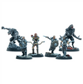 The Elder Scrolls: Call to Arms - Companions Miniatures Set Modiphius Entertainment