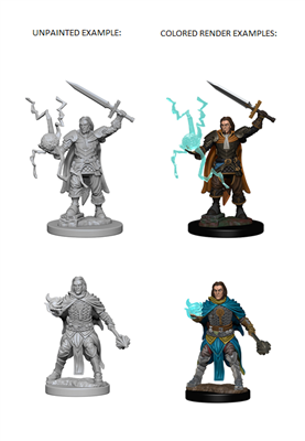 Pathfinder Battles Deep Cuts: Human Male Cleric WizKids/NECA