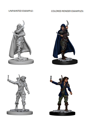 Pathfinder Battles Deep Cuts: Kvinnlig Mörda WizKids/NECA