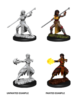 D&D Nolzur’s Marvelous Miniatures: Female Half-Elf Monk