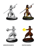 D&D Nolzur’s Marvelous Miniatures: Female Half-Elf Monk