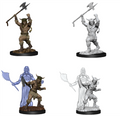 D&D Nolzur’s Marvelous Miniatures: Male Human Barbarian