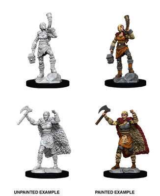 D&D Nolzur's Marvelous Miniatures: Female Human Barbarian