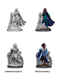 D&D Nolzur's Marvelous Miniatures: Female Tiefling Sorcerer