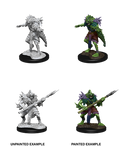 D&D Nolzur's Marvelous Miniatures: Sahuagin