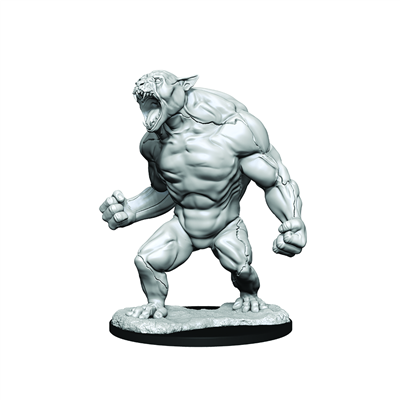 Critical Role Omålade Miniatyrer: Aeorian Reverser WizKids/NECA