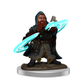 Pathfinder Painted Premium: Male Dwarf Sorcerer WizKids/NECA