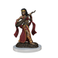 Pathfinder Painted Premium: Female Human Bard WizKids/NECA