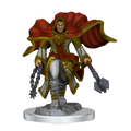 D&D Nolzur's Marvelous Miniatures: Aasimar Cleric Male
