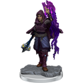 D&D Nolzur's Marvelous Miniatures: Half-Elf Warlock
