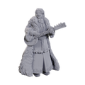 Dungeons & Dragons Nolzur's Marvelous Miniatures: Ansalon Human Bard