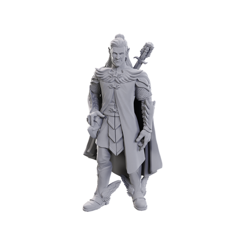 Critical Role Omålade Miniatyrer: Dorian Storm