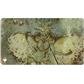 Magic: The Gathering 2025 Multiplanar Race Set Playmat Ultra Pro