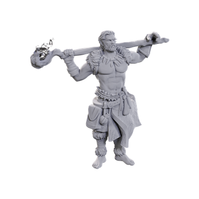 D&D Nolzur's Marvelous Miniatures: Archdruid & Martial Arts Adept