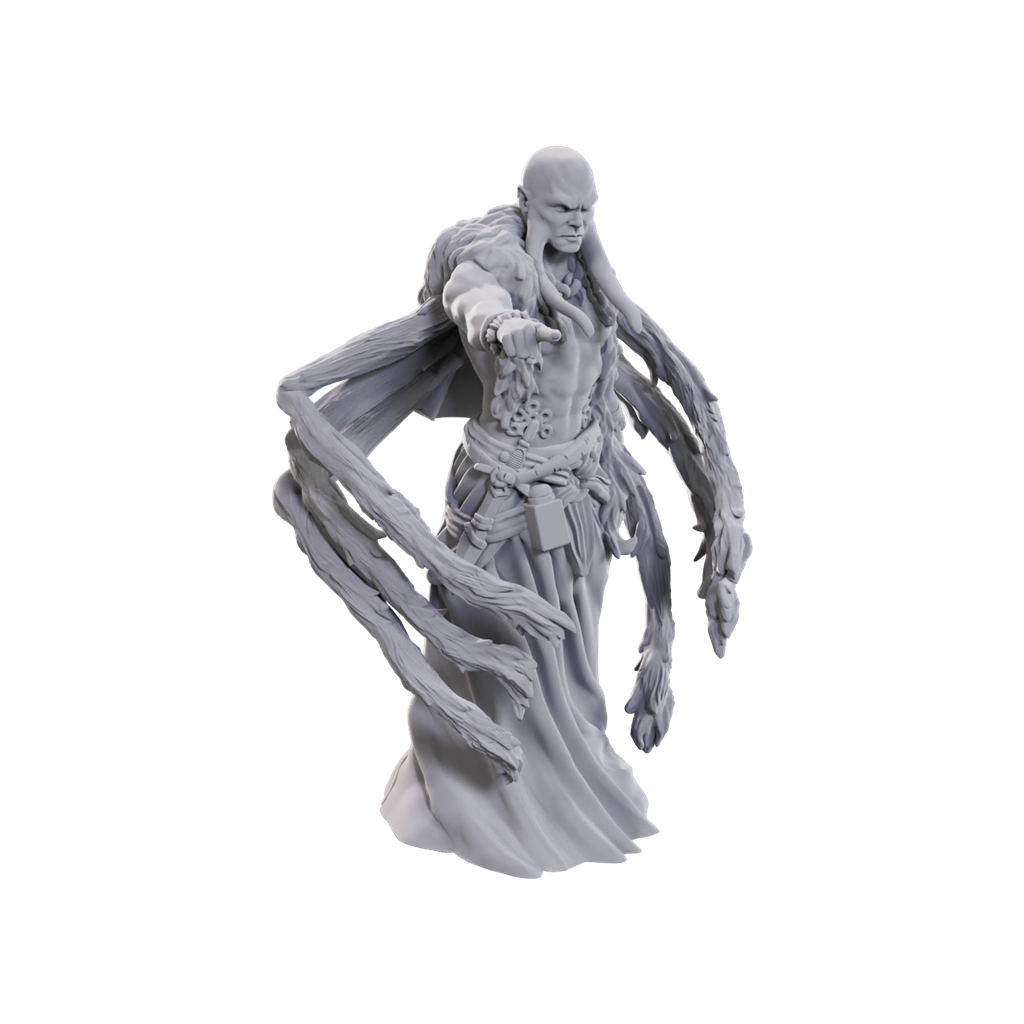 D&D Nolzur's Marvelous Miniatures: Kraken Priest