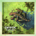 Artbook Cryptic Nature - EN iDventure