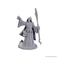 D&D Nolzur's Marvelous Miniatures: Star Spawn Larva Mage WizKids/NECA