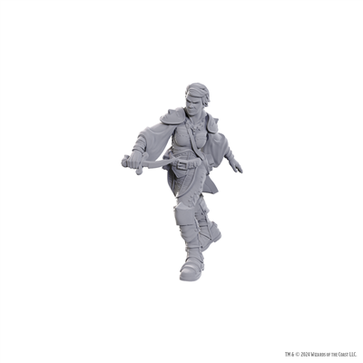 D&D Nolzur's Marvelous Miniatures: Swashbuckler WizKids/NECA