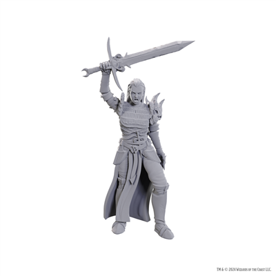 D&D Nolzur's Marvelous Miniatures: Blackguard WizKids/NECA