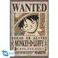 ONE PIECE - Poster Maxi 91.5x61 - Wanted Luffy New 2 Z-Zero GmbH