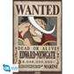 ONE PIECE - Poster Maxi 91.5x61 - Wanted Whitebeard Z-Zero GmbH