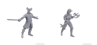 D&D Nolzur's Marvelous Miniatures: Special Edition Baldur's Gate 3 — Wyll & Karlach
