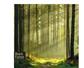 Black Forest - Natural and Sustainable Forest Inspiration
