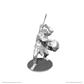 D&D Nolzur's Marvelous Miniatures: B'rohg