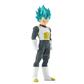 DRAGON BALL SUPER BLOOD OF SAIYANS-VEGETA-