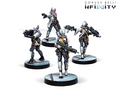 Infinity: Yadu Trupper