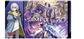 Bushiroad Spelmatta Vol. 11 CARDFIGHT!! VANGUARD Divinez DELUXE Arc Design A Suo&Blangdmi Nexus Bushiroad