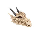 Drakskallebox 20 cm