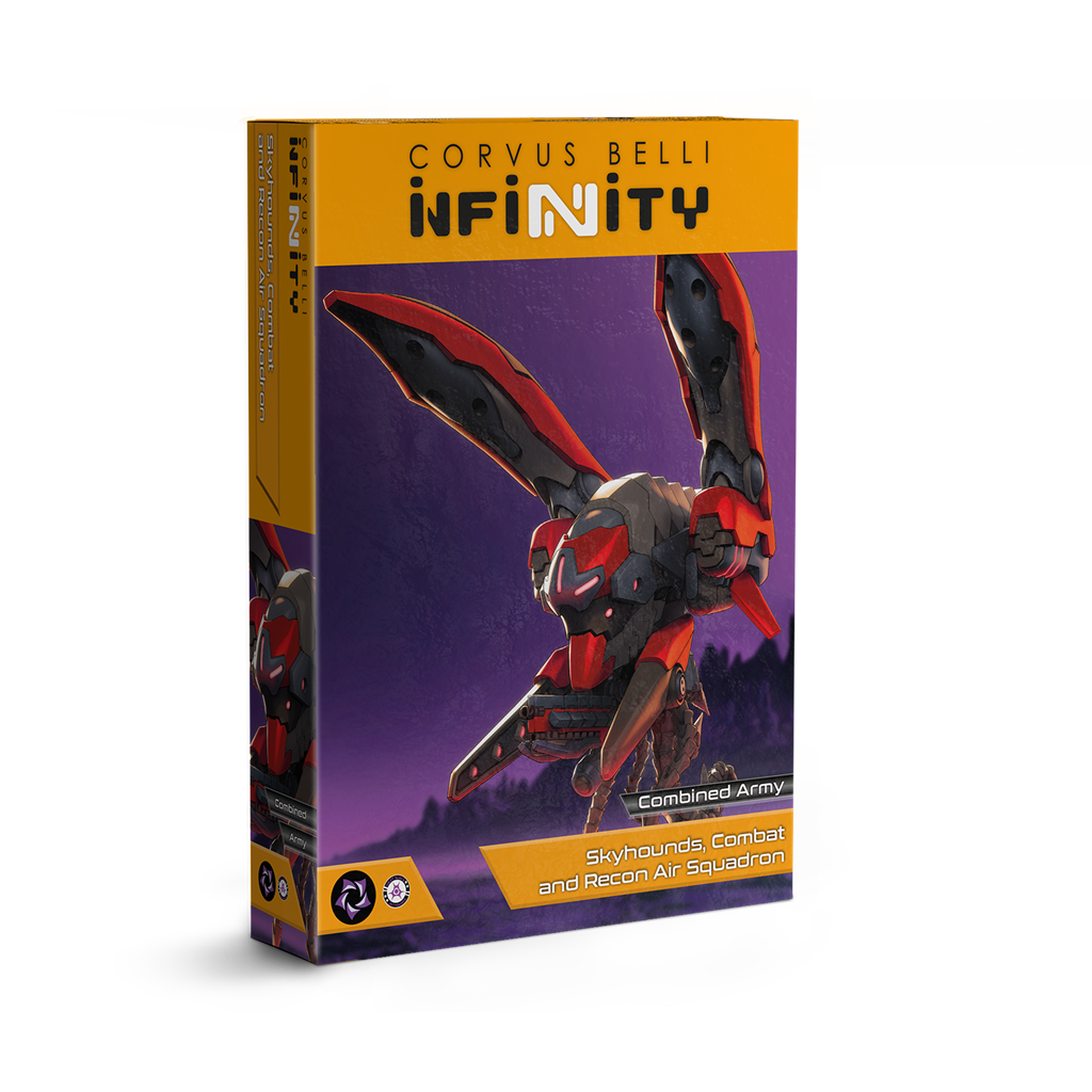 Infinity: Skyhounds, Strids- och spaningsflygdivision