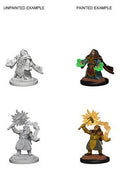D&D Nolzur’s Marvelous Miniatures: Dwarf Female Cleric