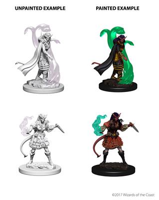D&D Nolzur’s Marvelous Miniatures: Tiefling Female Sorcerer